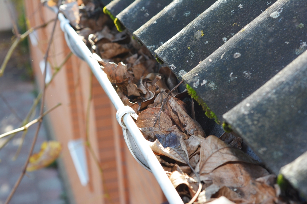 Clogged gutter