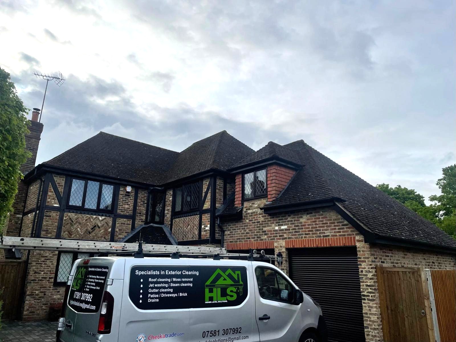 moss removal Surrey